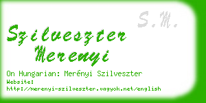 szilveszter merenyi business card
