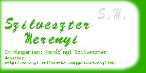 szilveszter merenyi business card